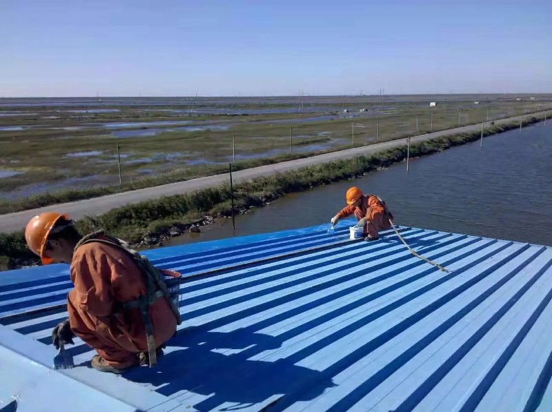 通许钢结构屋面漏水原因